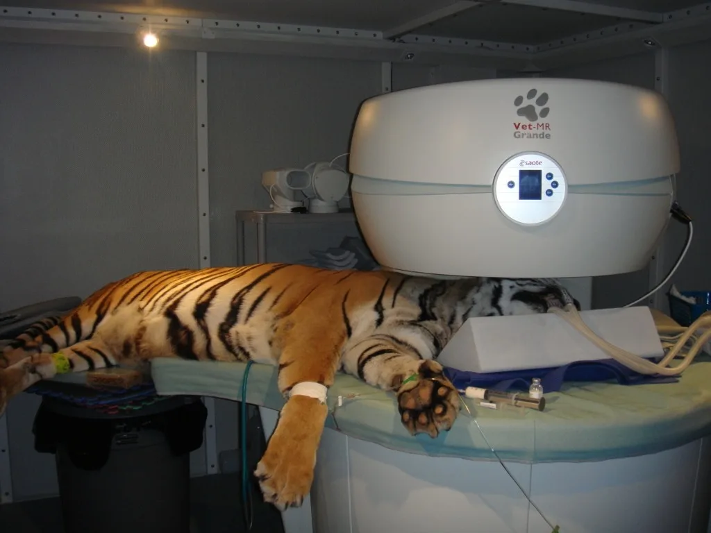 aparat mri