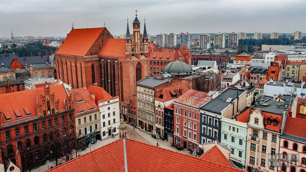KOSMED partnerem i wystawcą na VII Krajowych Spotkaniach Reumatologicznych
