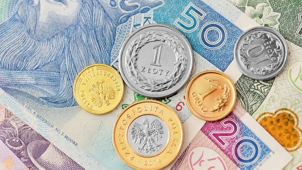 Aparat USG do 100 000 złotych – co warto kupić, gdy poszukujemy ultrasonografu w średniej półce cenowej?